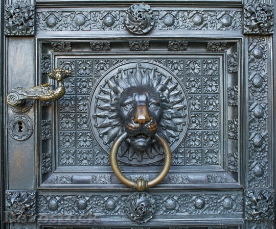 Devostock Lion Cologne Cathedral Entrance