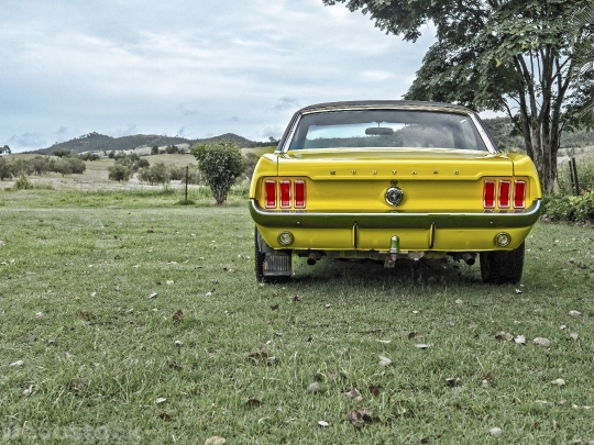 Devostock Mustang Old Car Muscle
