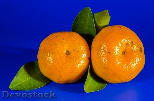 Devostock Orange Mandarin Fruit Citrus 8