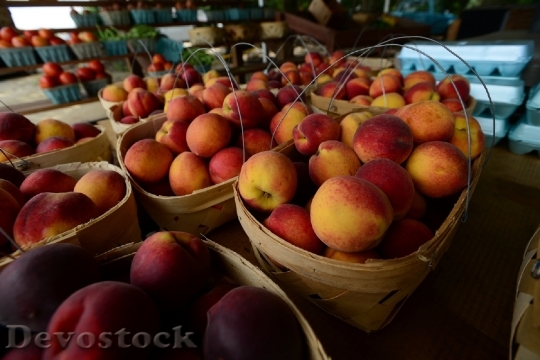 Devostock Peaches Fresh Farmers Market