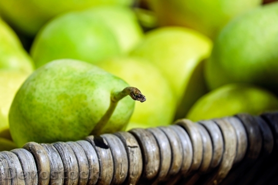 Devostock Pears Fruit Fruits Green