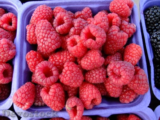 Devostock Raspberries Market Fruit Fresh