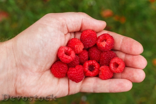Devostock Raspberry Berry Vitamins Health