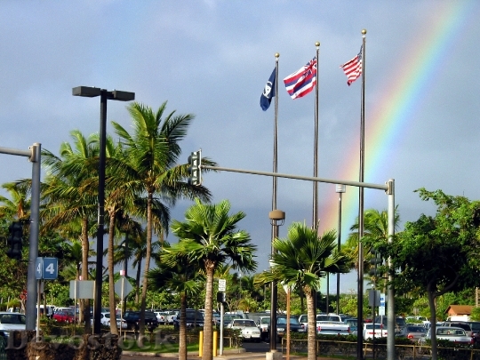 Devostock Us Flag Hawaiian Flag