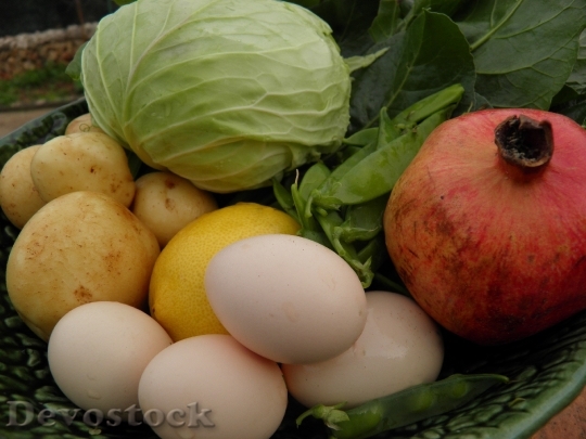 Devostock Vegetables Organic Fresh Produce