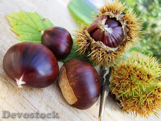 Devostock Chestnuts Nut Food Natural