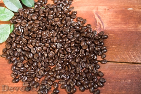 Devostock Coffee Bean Barista 285113