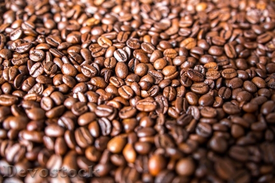 Devostock Coffee Beans Caffeine Roasted