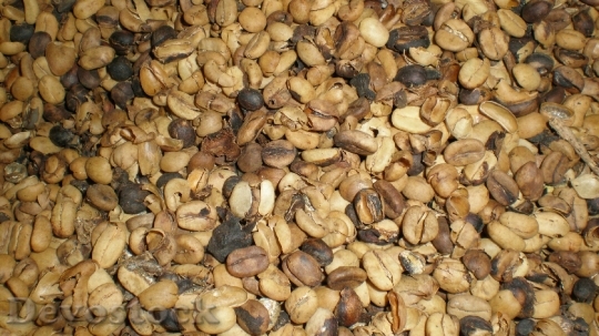 Devostock Coffee Beans Coffee Roasted