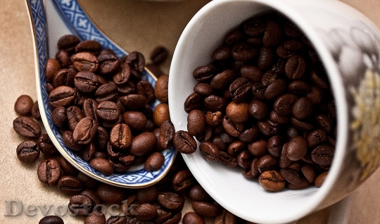 Devostock Coffee Coffee Beans Grain 3