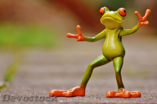 Devostock Frog Gesture Peace Funny 8
