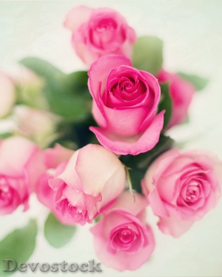 Devostock Love Romantic Flowers 4126