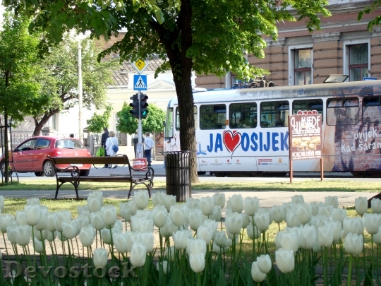 Devostock Osijek Croatia Tram City