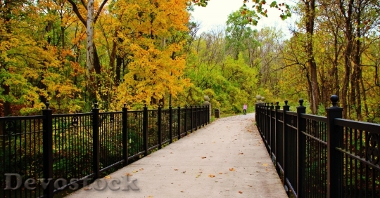 Devostock Park Fall Leaves Gate