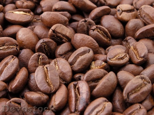 Devostock Roasted Coffee Beans