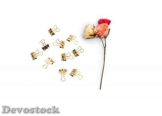 Devostock Romantic Flowers Paper Clips 9026