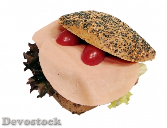 Devostock Sandwich Snack World Champion