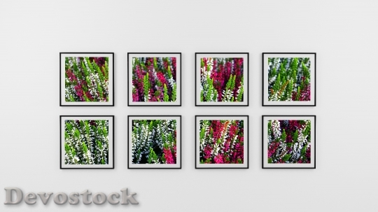 Devostock Art Flowers Pattern 110008 4K