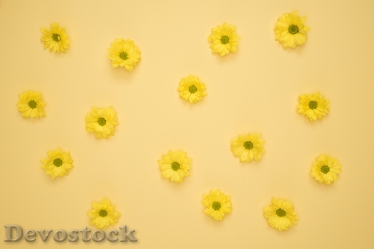 Devostock Art Flowers Summer 103798 4K