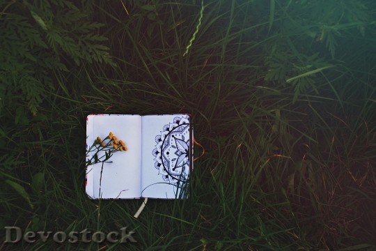 Devostock Art Notebook Grass 131436 4K