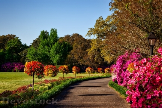Devostock Bellingrath Gardens Alabama Landscape Scenic 15828 4K.jpeg