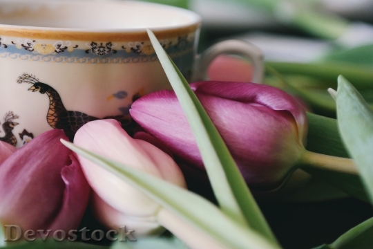 Devostock Coffee Cup Flowers 29133 4K