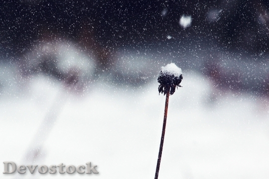 Devostock Cold Snow Weather 37174 4K