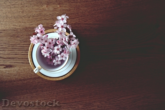 Devostock Cup Flowers Table 4K