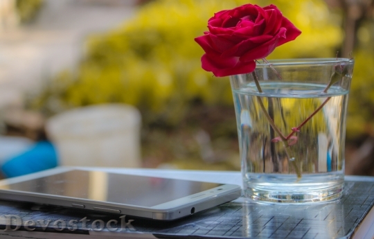 Devostock Cup Smartphone Glass 4K