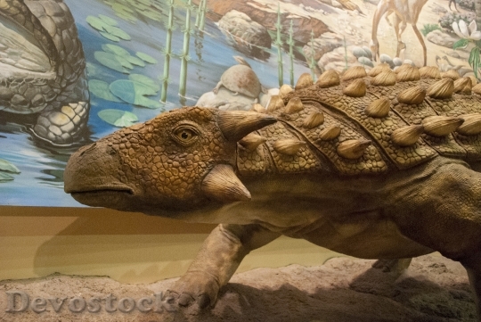 Devostock Dinosaur Natural History Museum HD