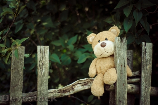 Devostock Fence Teddy Bear Toy 121218 4K
