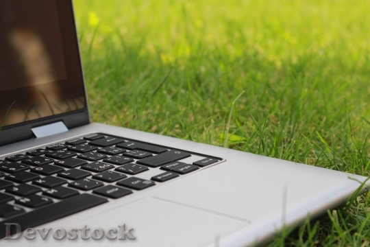Devostock Field Summer Laptop 27425 4K