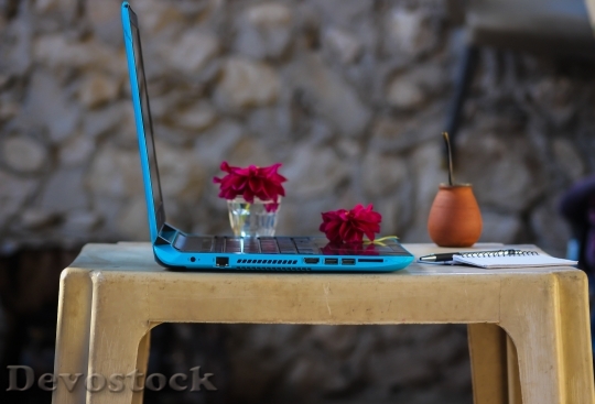 Devostock Flowers Laptop Notebook 121221 4K