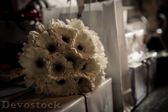 Devostock Flowers Petals Bouquet 140523 4K