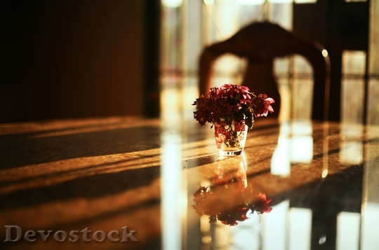 Devostock Flowers Table Reflection 127324 4K