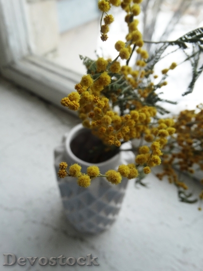 Devostock Flowers Yellow Pot 105618 4K