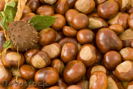 Devostock Food Brown Nuts 4148 4K