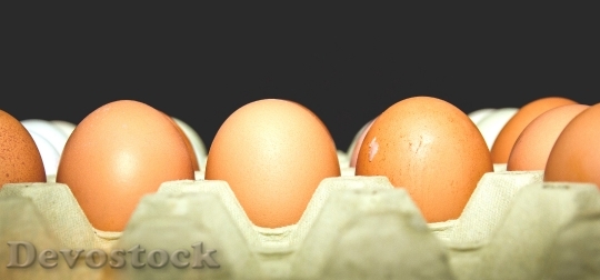 Devostock Food Eggs Tray 8580 4K