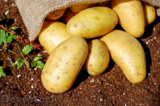 Devostock Food Healthy Potatoes 14448 4K
