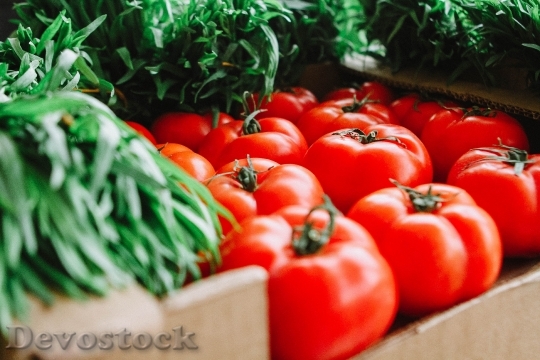 Devostock Food Healthy Tomatoes 136743 4K