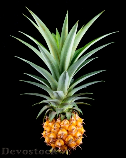 Devostock Food Pattern Pineapple 5391 4K