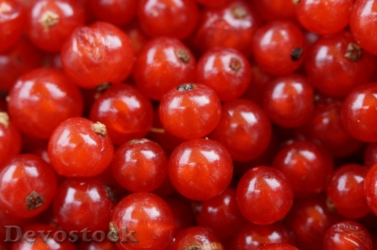 Devostock Food Red Fruits 5319 4K