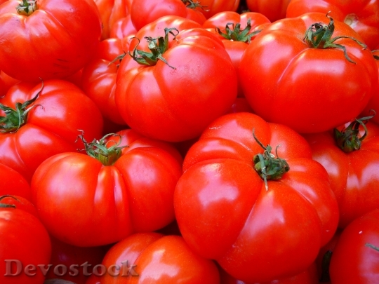 Devostock Food Red Tomatoes 8773 4K