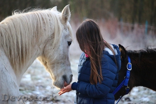 Devostock Friendship Horse Girl Love 4k