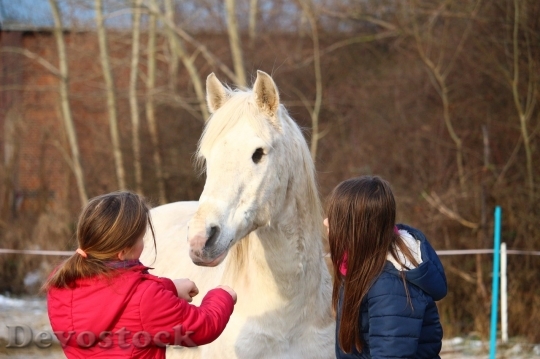Devostock Friendship Two Girl Horse Love 4k