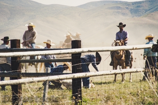 Devostock Landscape Man People Horses Cowboys 4K