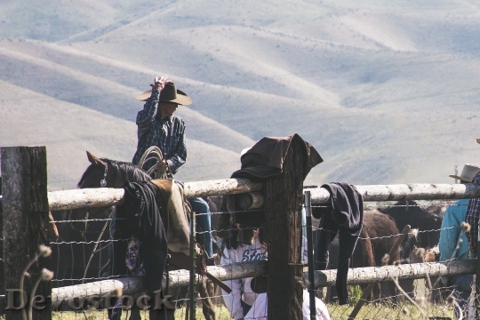 Devostock Landscape Mountains Man Horses Cowboys 4K