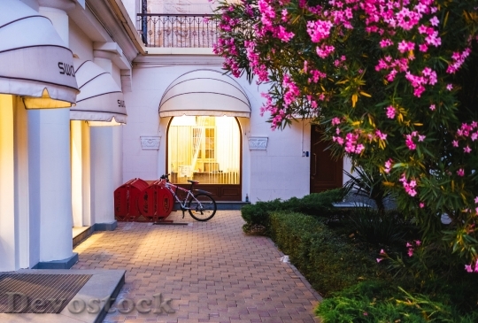 Devostock Light Flowers Hotel 114557 4K