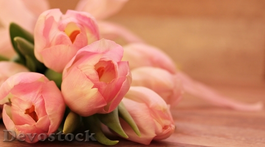 Devostock Love Romantic Flowers 32672 4K