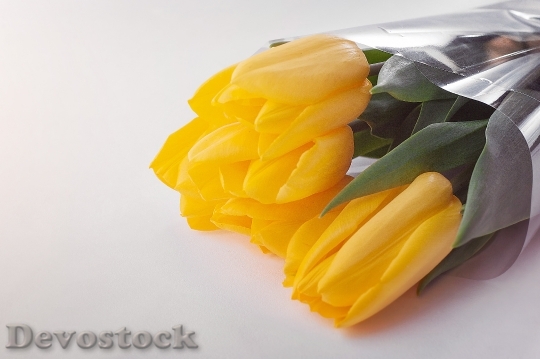 Devostock Love Romantic Flowers 34518 4K